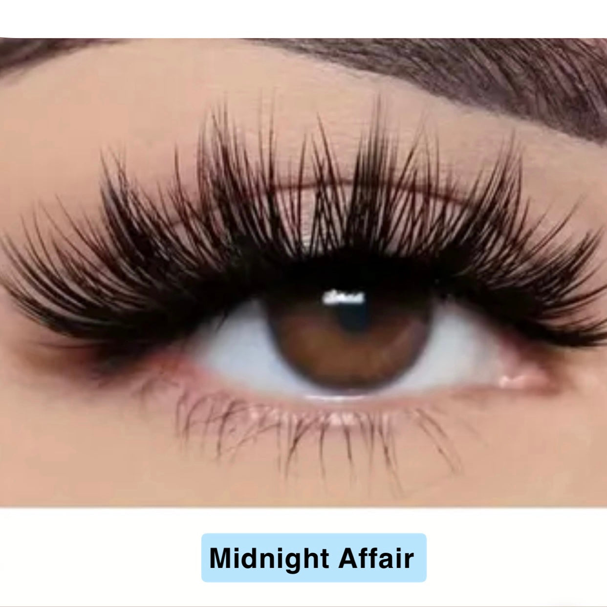 Midnight Affair